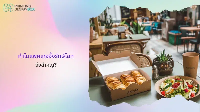 ทำไมแพคเกจจิ้งกรีไซเคิลถึงสำคัญ?: ร้านกาแฟโทนสีนุ่มนวล, โต๊ะและเก้าอี้สไตล์วินเทจ, กล่องกระดาษบรรจุครัวซองต์สดใหม่